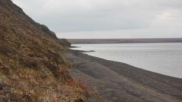 The devil mountain lakeshore has dark colored sand that comes to a steep hill covered in vegetation.