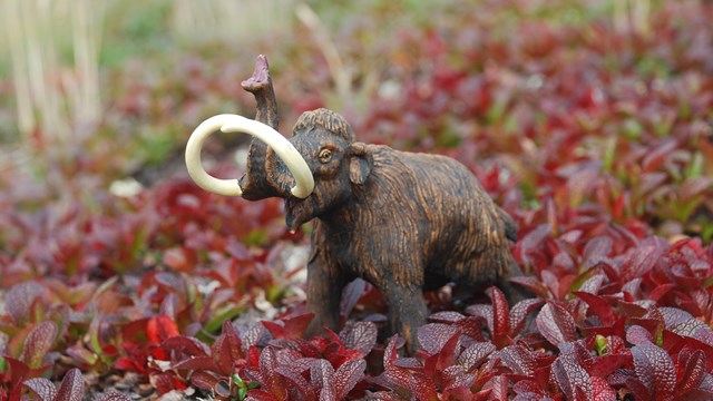 A model woolly mammoth sits in a bed of red bearberry plants.