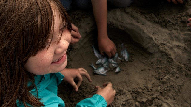 A smiling child gathers around fish in the sand.