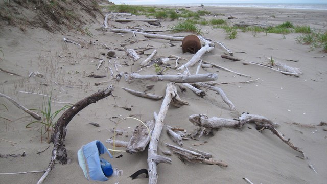 A beach littered with driftwood and plastic debris.