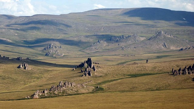 Aerial views of golden rolling hills. 