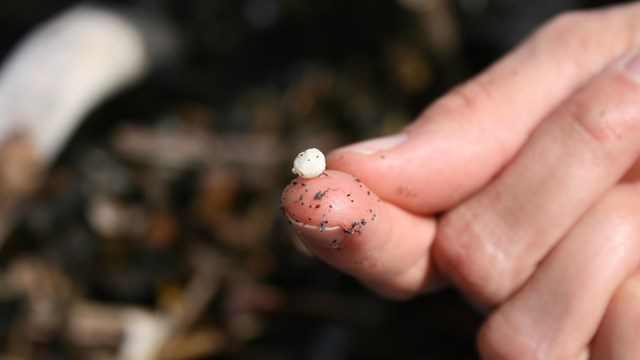 A hand holding a round piece of white plastic between their fingers.