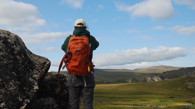 A hiker with an orange backpack looks out into the horizon. 