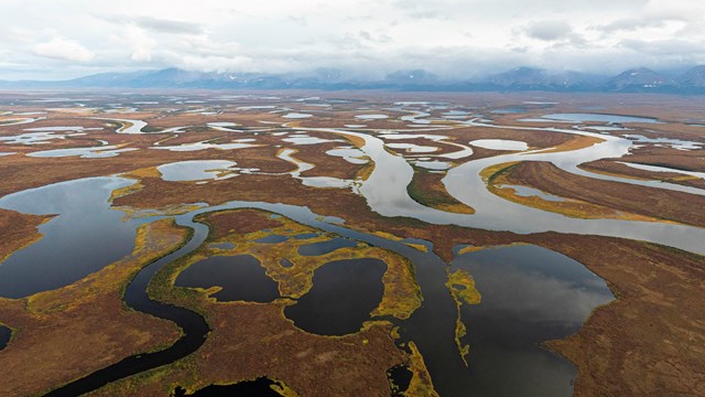 Aerial view of low-laying tundra with many river and lakes going through it. 