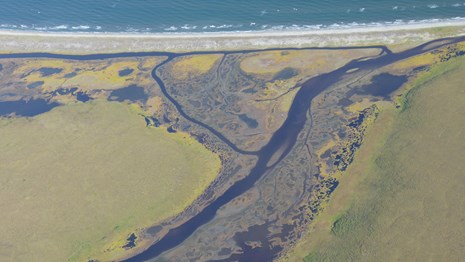 From above a meandering river pours into the ocean. 