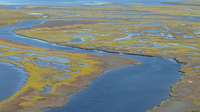 Aerial photos of a marshy coastline. 