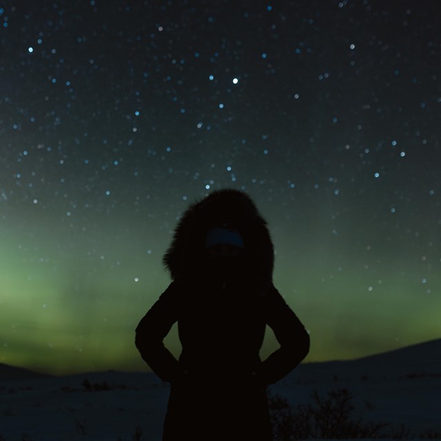 Woman with a ruff standing in front of the northern lights.