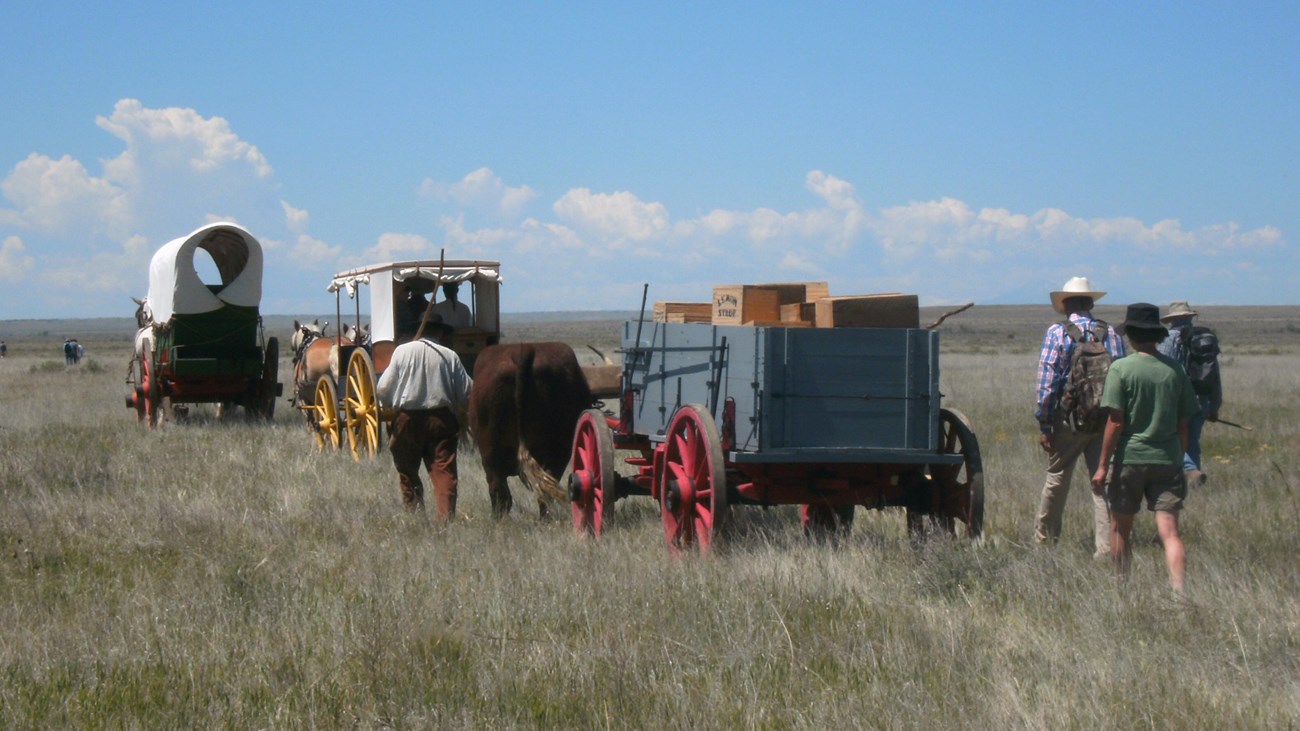 Wagons pulled by livestock teams travel a prairie landscape accompanied by hikers. 