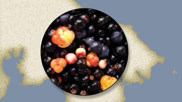 Publication cover for "Edible Plants Used by Siberian Yupik Eskimos".