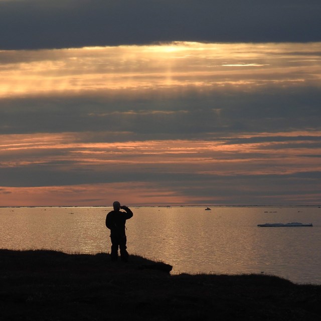 learn about new Local Environmental Observation Network in the Russian Far East