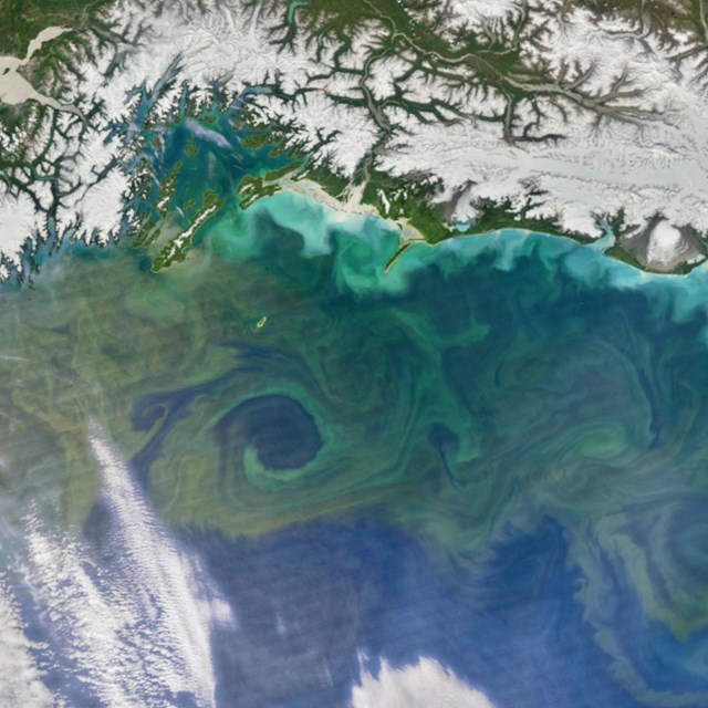 Satellite image of algal bloom in Southcentral Alaska, NASA