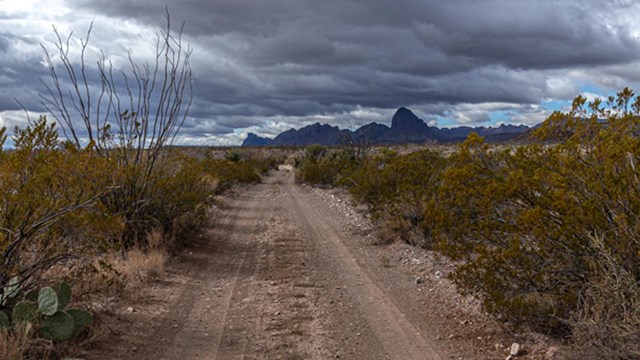 Glenn Springs Road