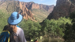 Day Hikes