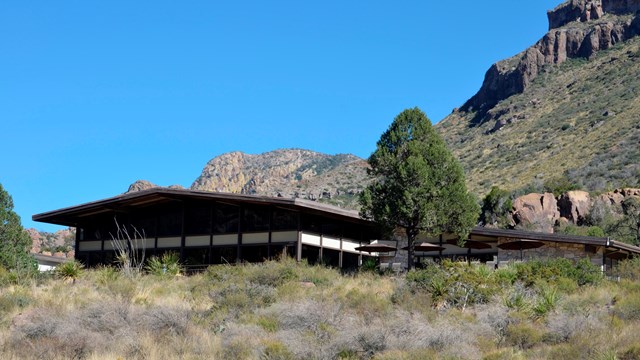 A large structure sits at the base of a mountain, surrounded by trees and grass.