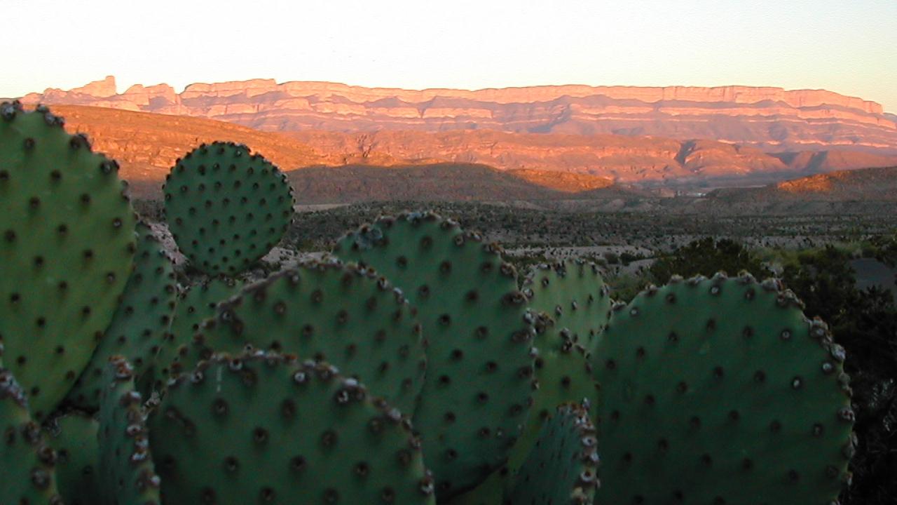 Scenic view of the Sierra del Carmen range