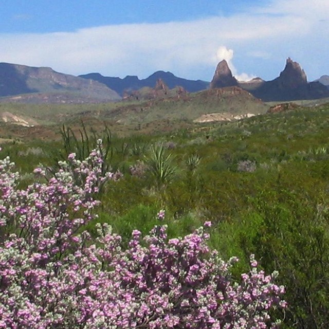 Big Bend News Releases