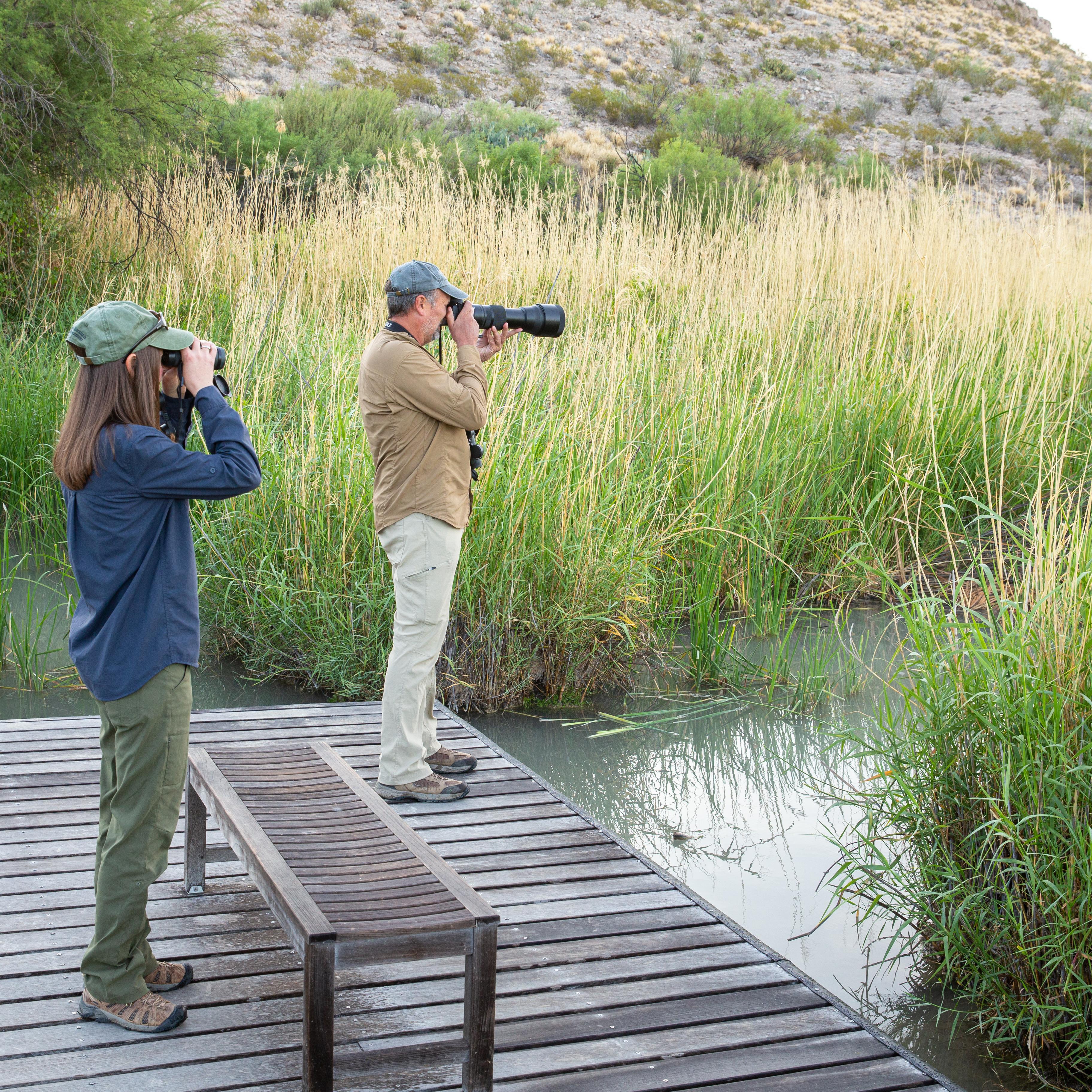A man and a women stand on a boardwalk over a pond, looking at birds with binoculars and a camera.
