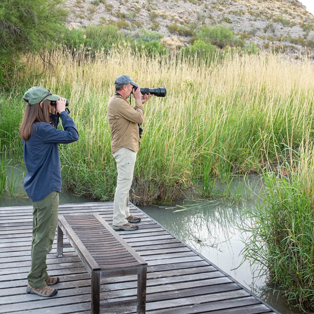 A man and a women stand on a boardwalk over a pond, looking at birds with binoculars and a camera.