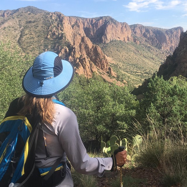 Explore Big Bend by hitting the trail. 