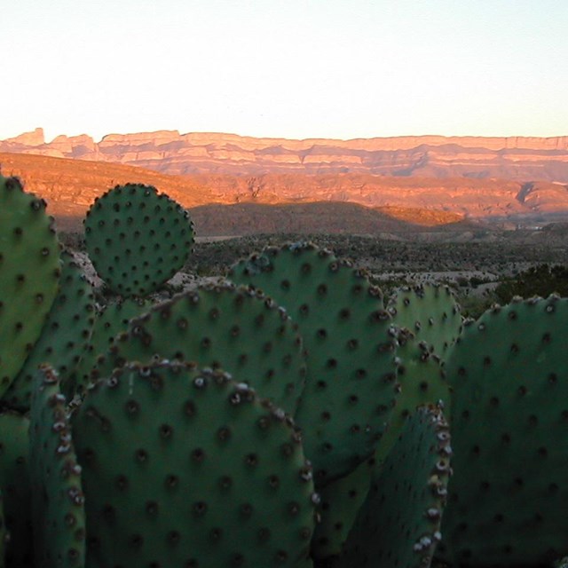 Scenic view of the Sierra del Carmen range