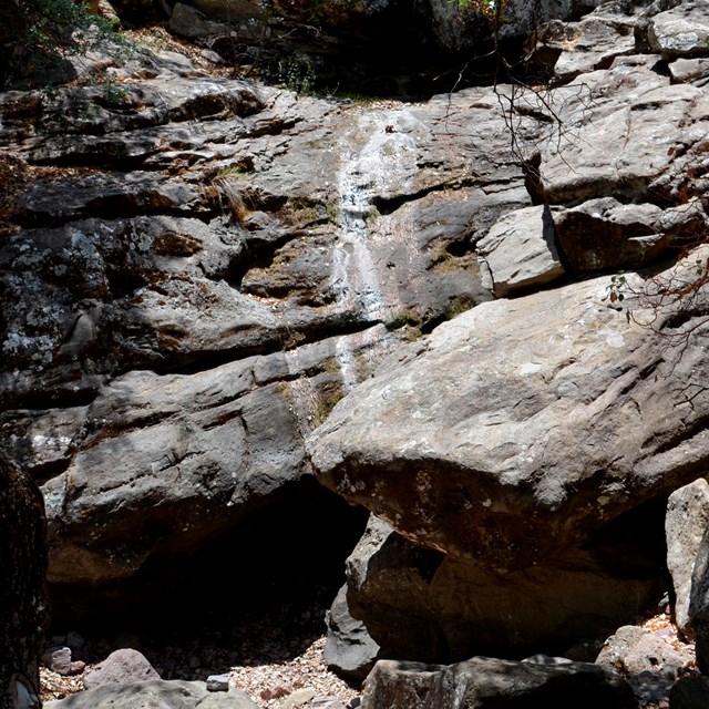 Water in the Chisos