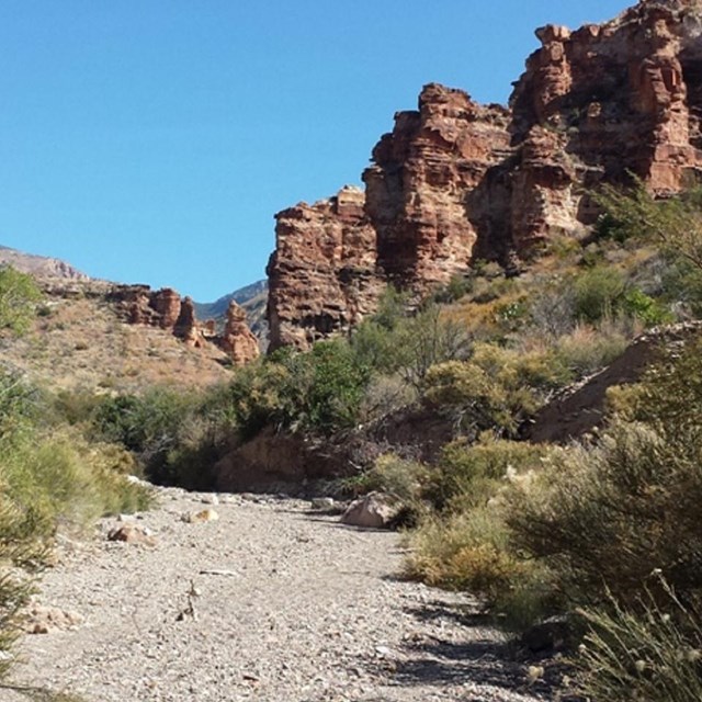 Keep Big Bend Wild