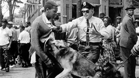 Young, male, African American protester being attacked by police dogs