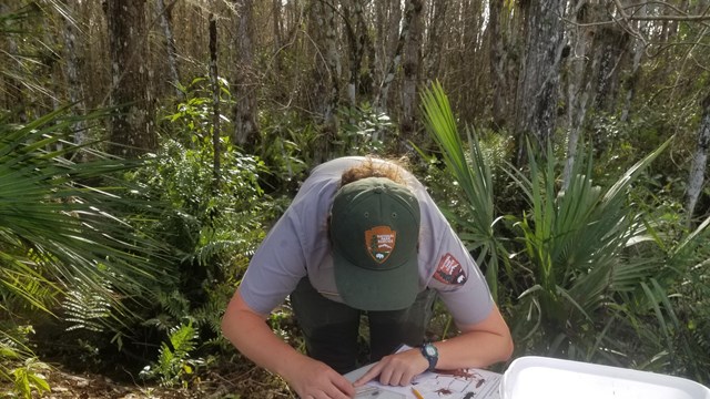 Citizen Science