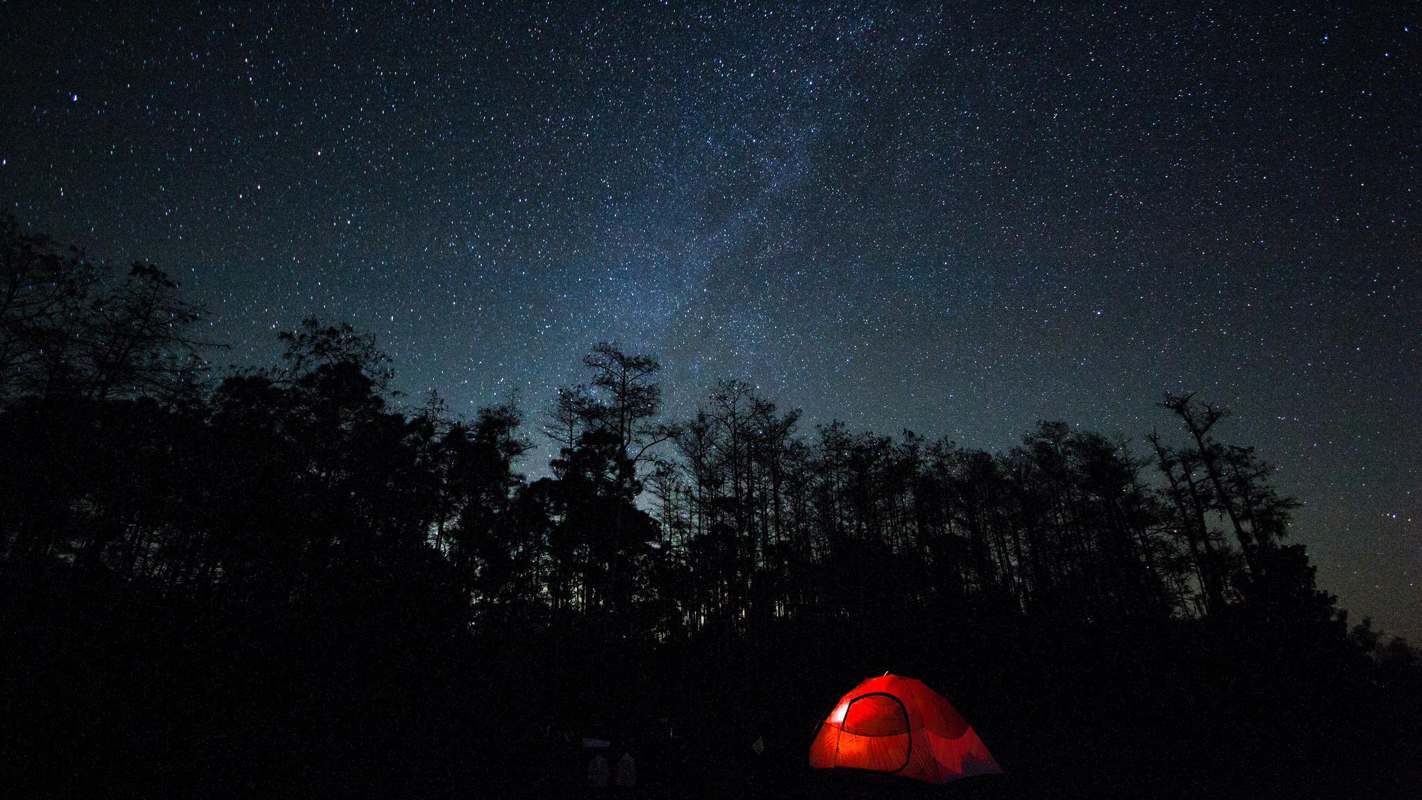 Celebrate the night sky on your own or through Ranger Astronomy Nights.