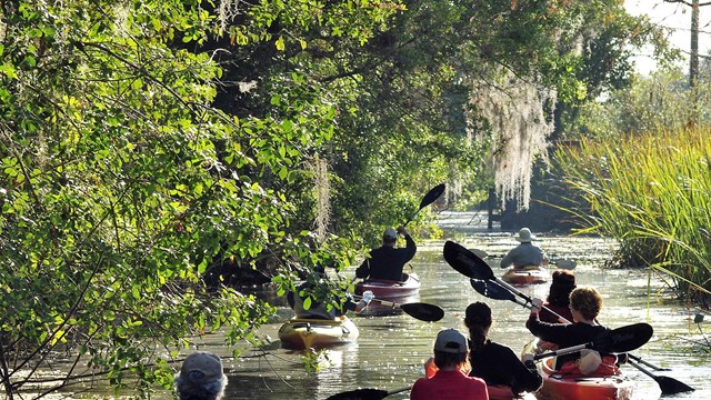 People kayak on Turner River in Big Cypress National Preserve