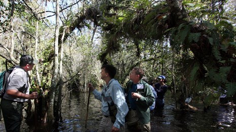 Visitors and rangers hike in water of cypress swamp