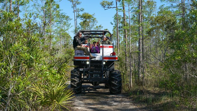 A classic Florida swamp buggy driving on a rugged dirt trail