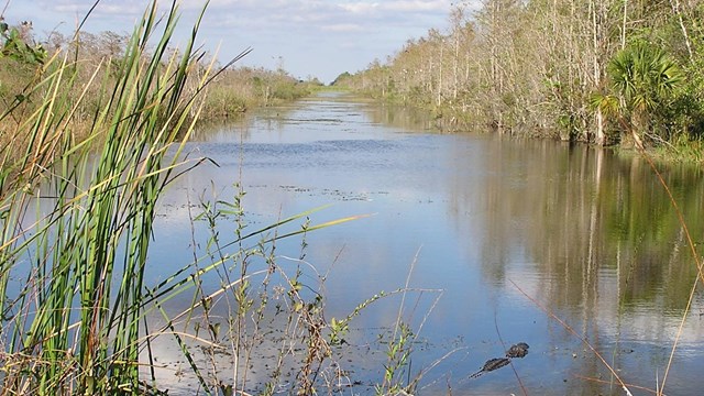 view from a canal