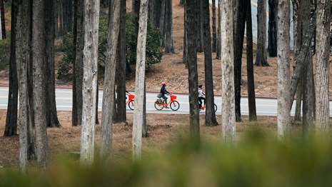 View looking through trees at three people riding orange e-bikes 