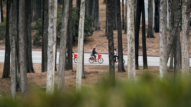 View looking through trees at three people riding orange e-bikes 