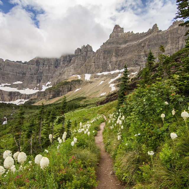 A scenic view of Glacier National Park