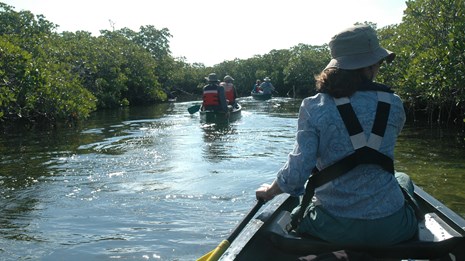 Woman in a canoe paddling on water flowing between mangroves with other paddlers in the distance