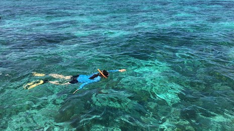 Snorkeler swimming in crystal clear waters