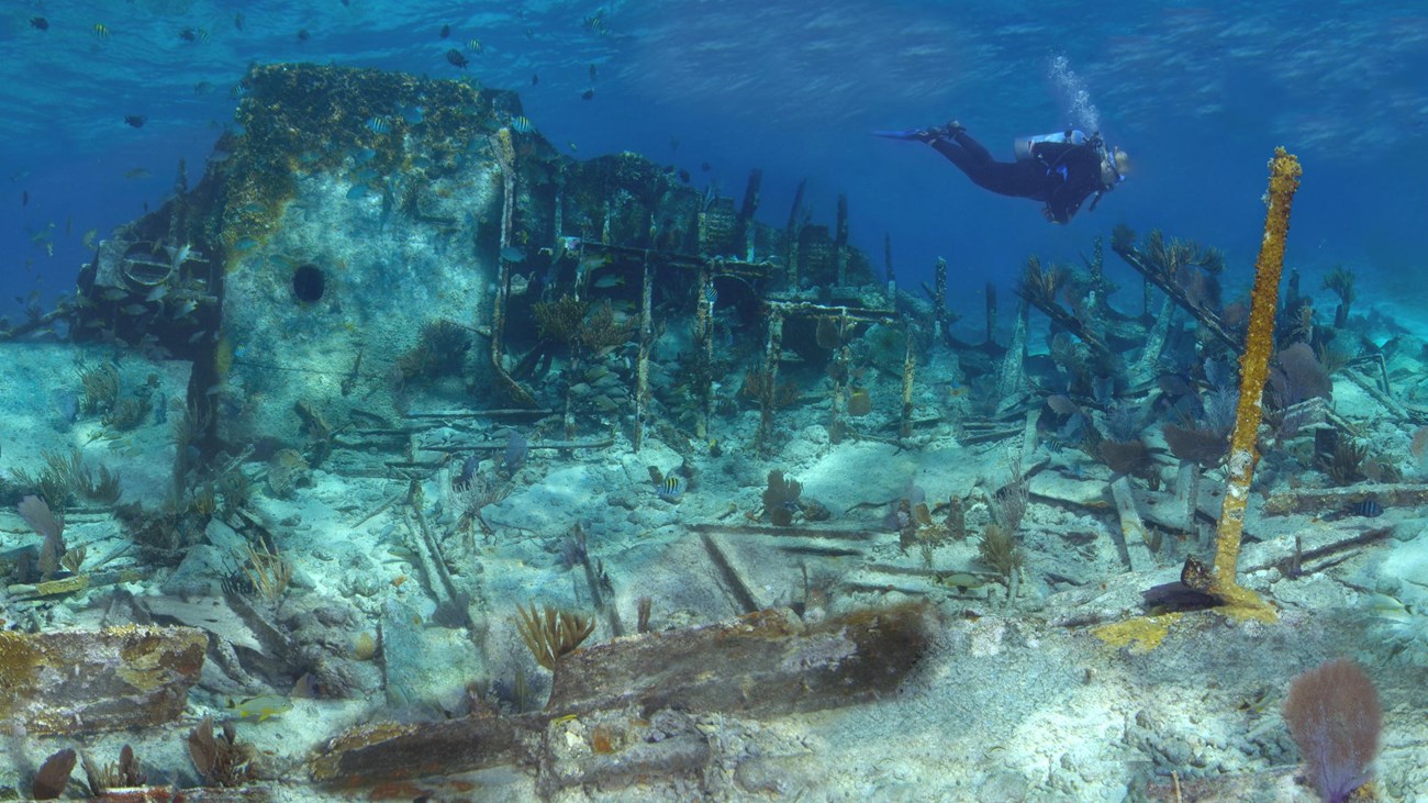 the wreckage of a ship submerged with fish, coral, and a diver.