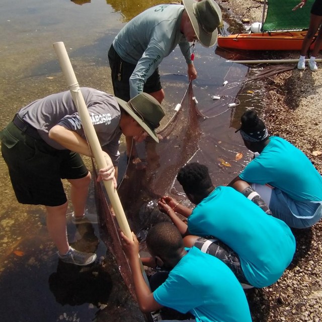 Youth collecting minnows from seine net