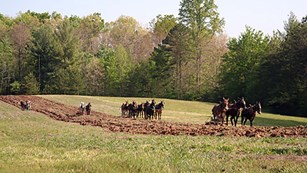 Annual Spring Planting & Music Festival