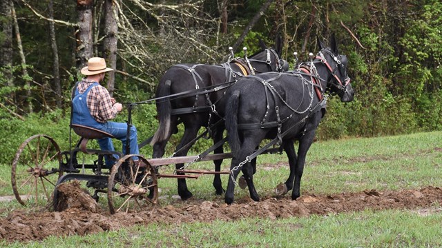 Annual Spring Planting & Music Festival