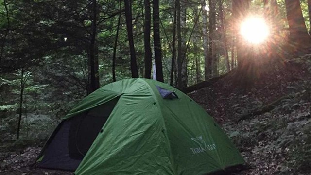 green domed tent sits on ground below a canopy of trees with the sun shining through