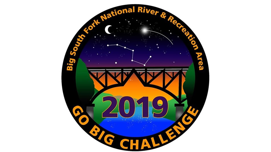 2019 Go Big Challenge