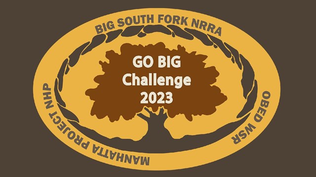 Oval shaped logo with tree in center.