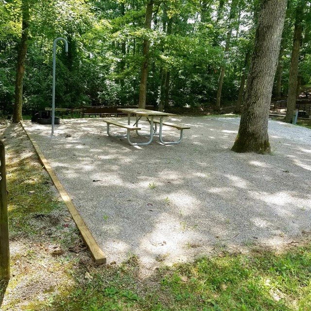 Gravel tent pad with picnic table and grill under a canopy of trees