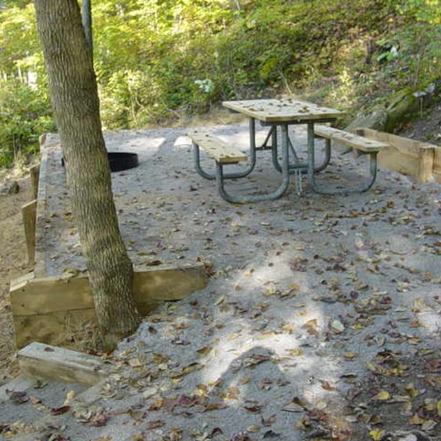 A picnic table sits upon a gravel tent pad near a tree.