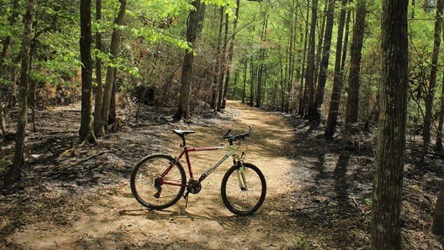 a bicycle standing on a dirt trail in the woods