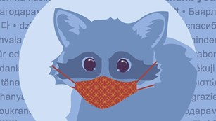 graphic of raccoon wearing a mask, with 