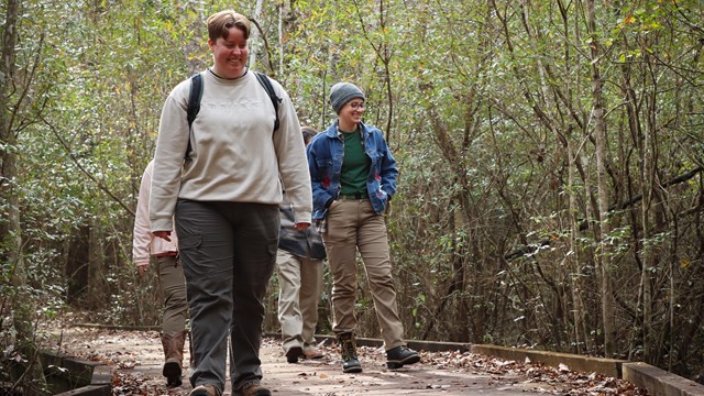 Group of 4 hikers walking on a boardwalk through a dense thicket in winter.